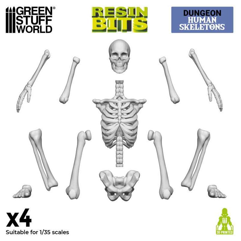 GREEN STUFF WORLD 3D printed set - Human Skeletons 1:35