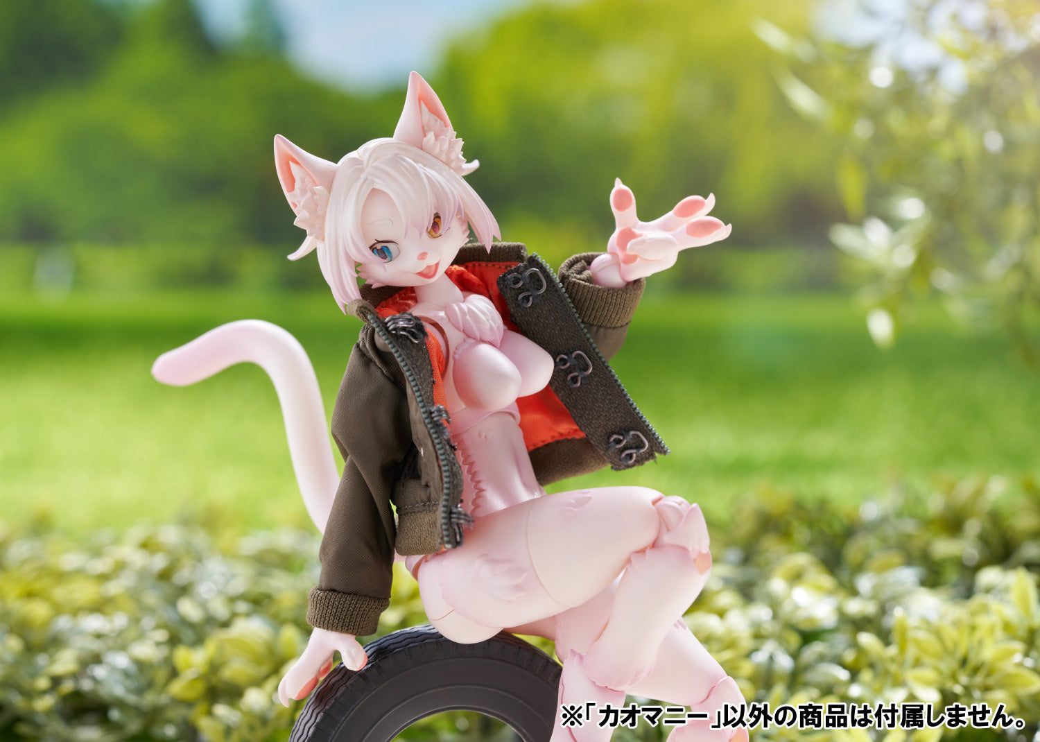 AOSHIMA Kemopla - Khao Manee