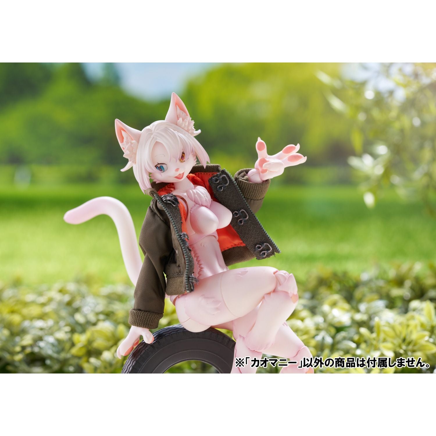 AOSHIMA Kemopla - Khao Manee