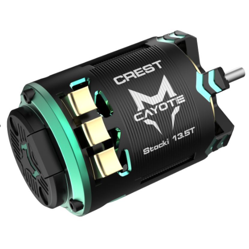 CAYOTE CREST 1/10 Stocki Motor 21.5T