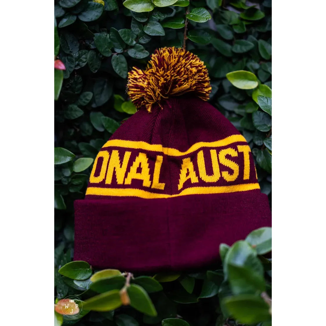WILL JAMES RAILWAYS Australian National Beanie