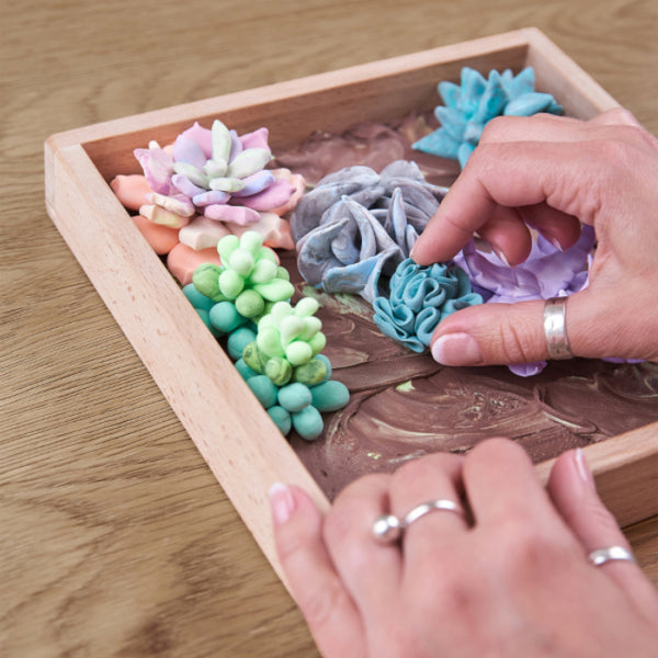 OKTO Wood & Craft DIY Succulents: Tenderness