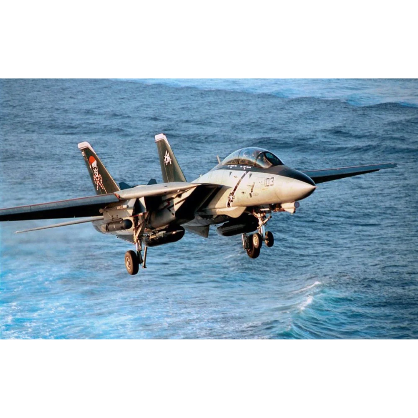 HASEGAWA 1/72 F-14B TOMCAT VF-103 JOLLY ROGERS LAST FLIGHT 2004