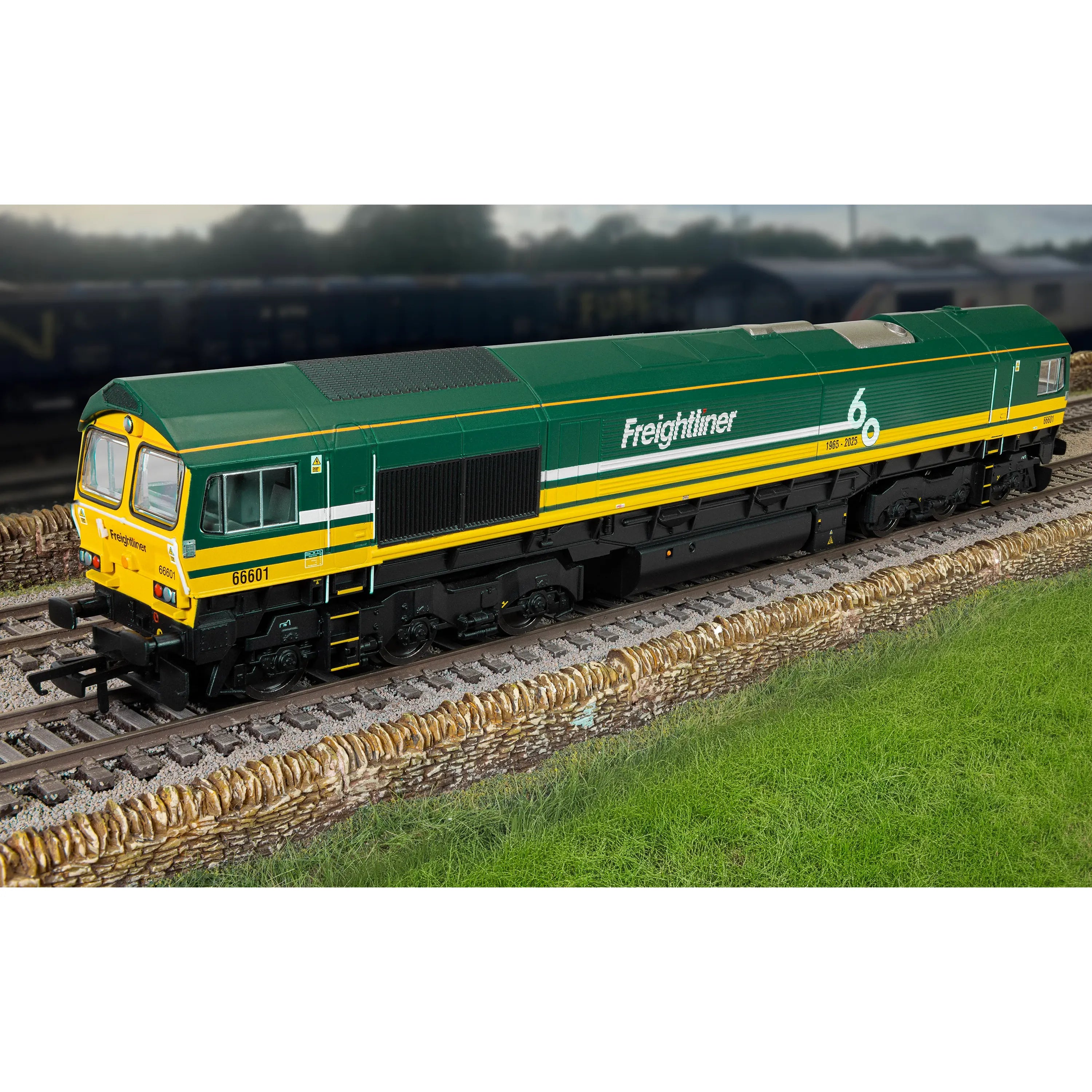 HORNBY OO RailRoad: Freightliner Class 66 - 'Freightliner 60' - 66601