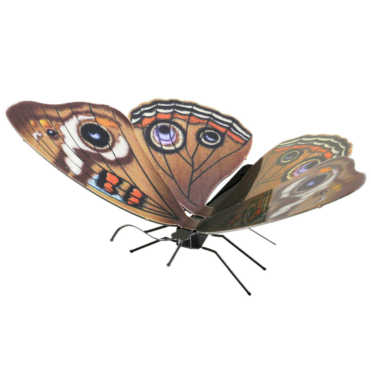 METAL EARTH Butterfly Buckeye