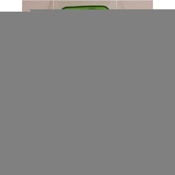 EVERGREEN 210 35cm Plastic Rod .030 (10)