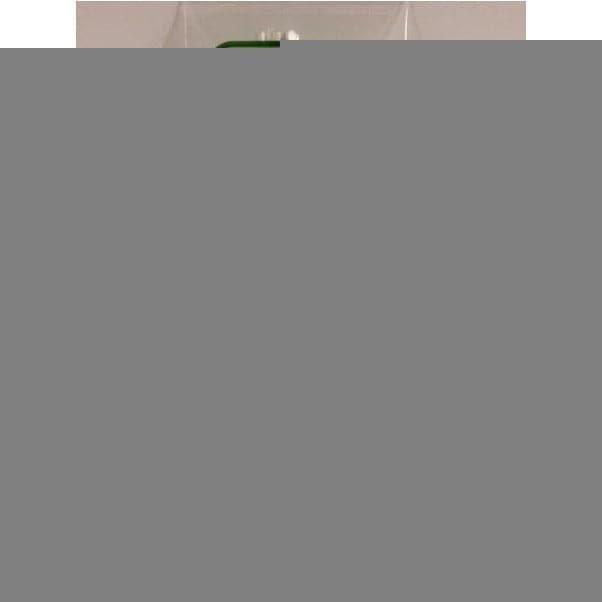 EVERGREEN 294 35cm Plastic Angle .125 (3)