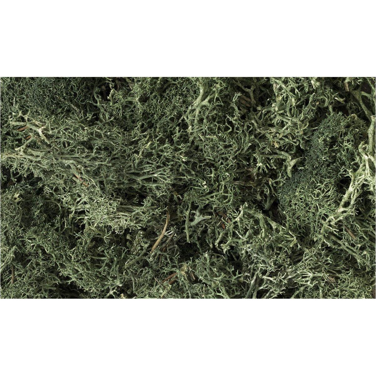 WOODLAND SCENICS Dark Green Lichen