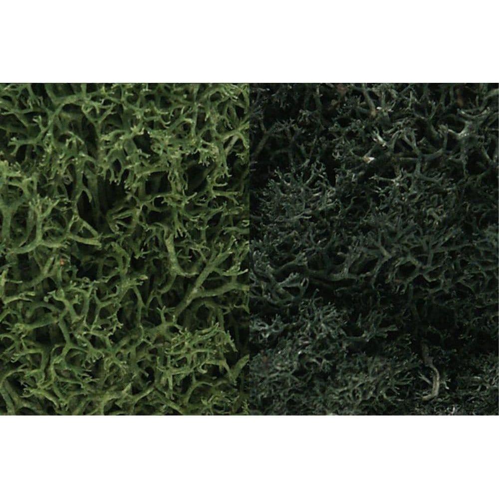 WOODLAND SCENICS Dark Green Mix Lichen