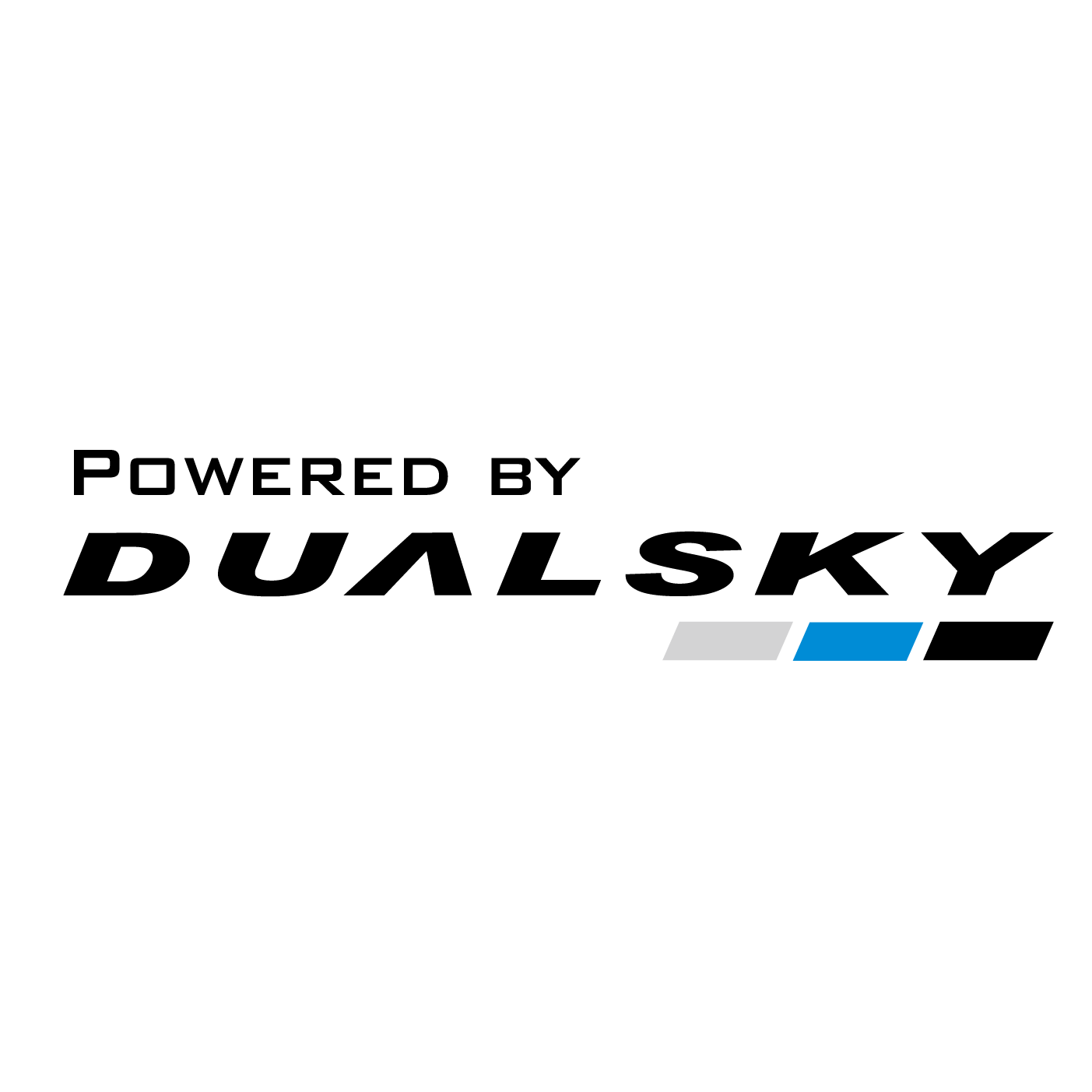 Dualsky