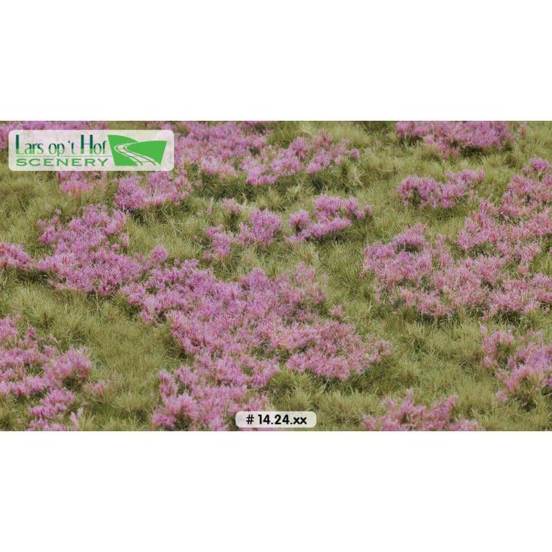 LARS OP 'T HOF Heather Field Summer (Large Pack)