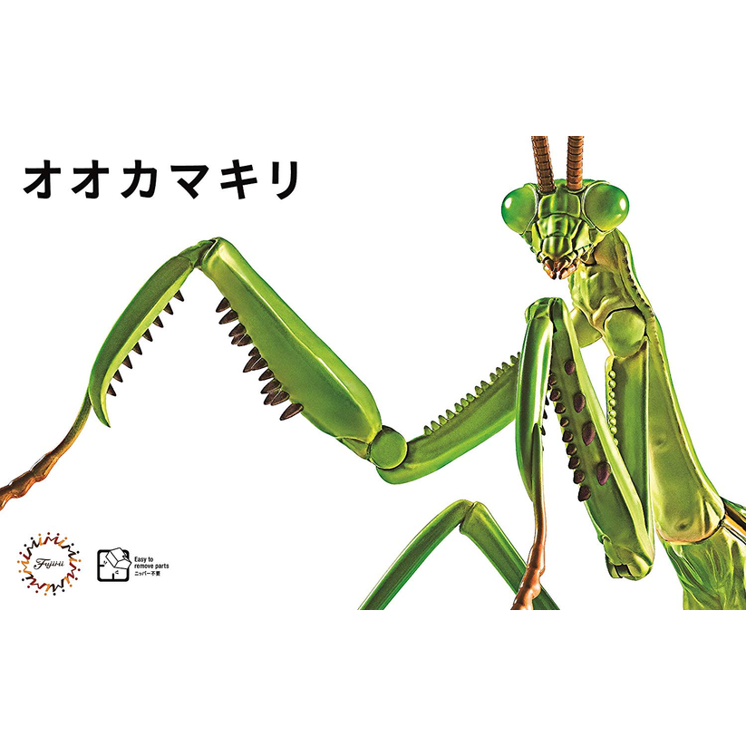 FUJIMI Biology Edition Big Mantis [FI No.23] Plastic Model Kit