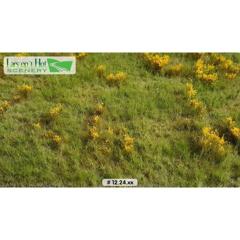 LARS OP 'T HOF Meadow with Marsh Marigolds (Large Pack)
