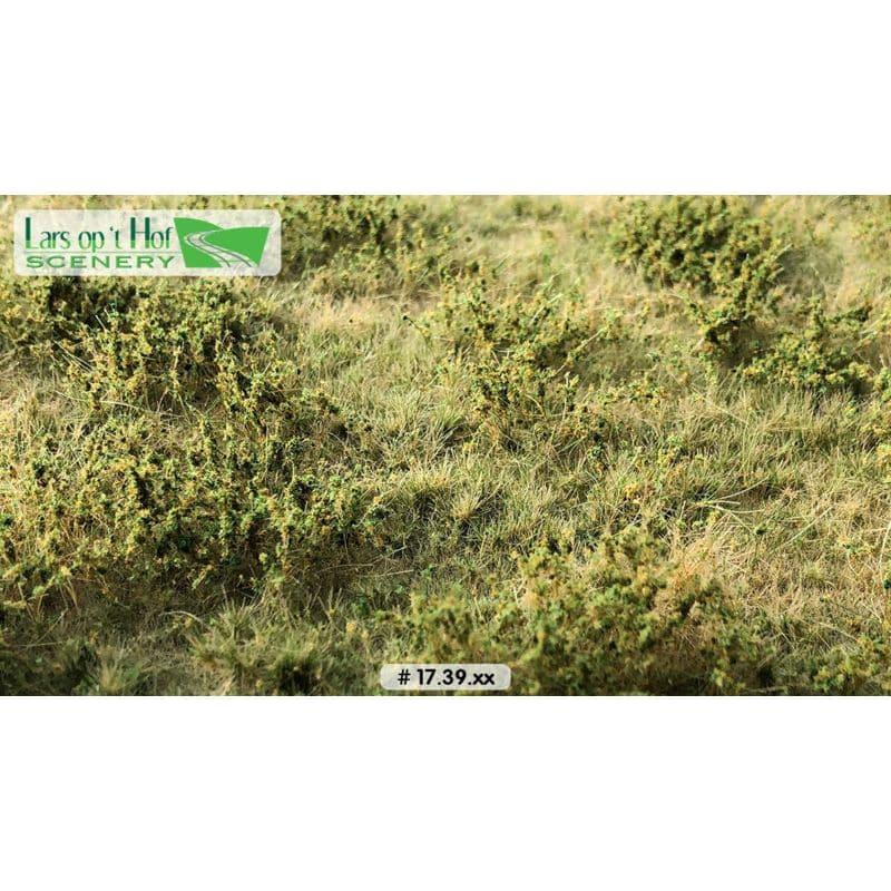LARS OP 'T HOF Wilde Verge Autumn (Large Pack)