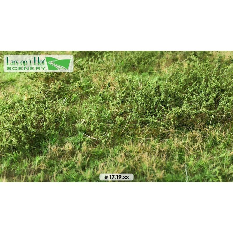 LARS OP 'T HOF Wilde Verge Spring (Large Pack)