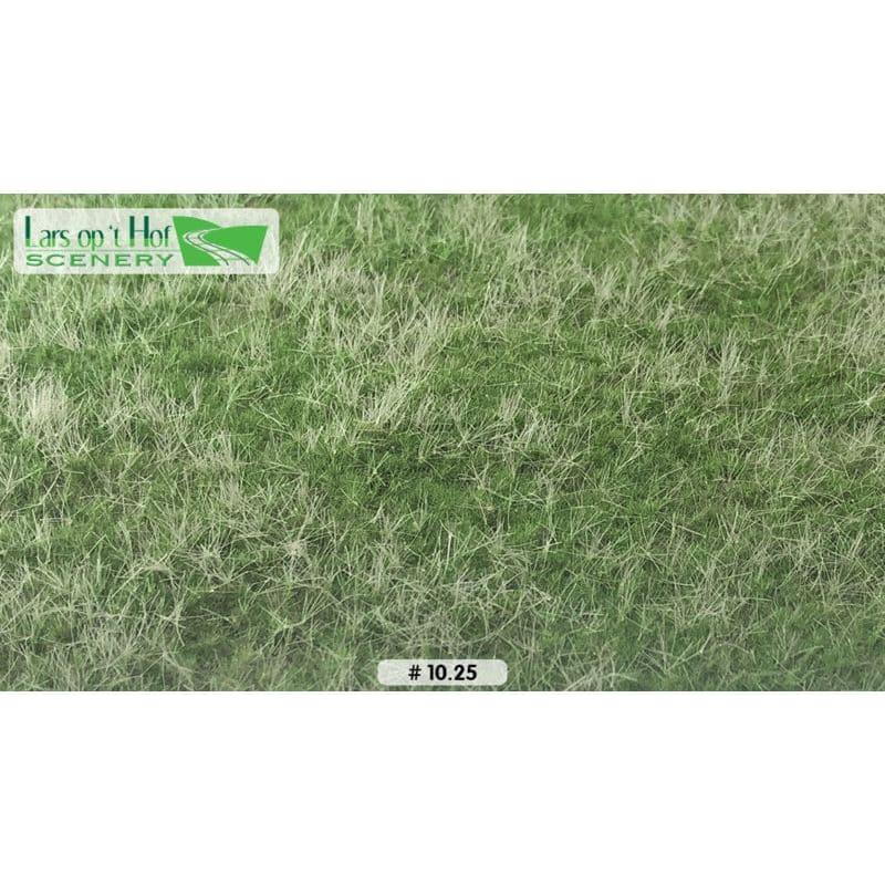 LARS OP 'T HOF Pasture Blooming Summer (Large Pack)