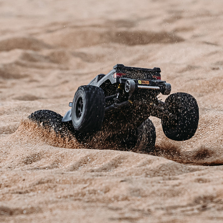 Rlaarlo RZ001B-C Omni Terminator Carbon Mini 1/10th Brushless RTR