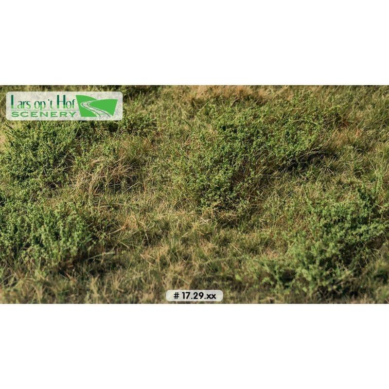 LARS OP 'T HOF Wilde Verge Summer (Large Pack)