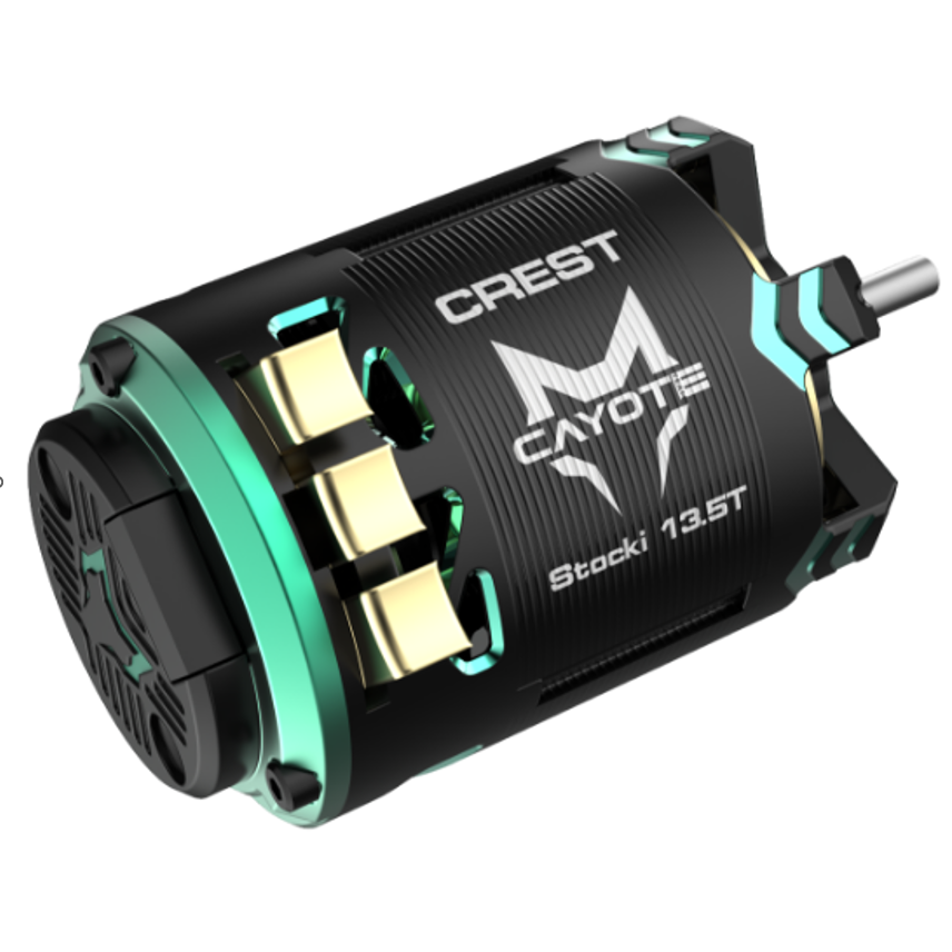 CAYOTE CREST 1/10  Stocki Motor 13.5T