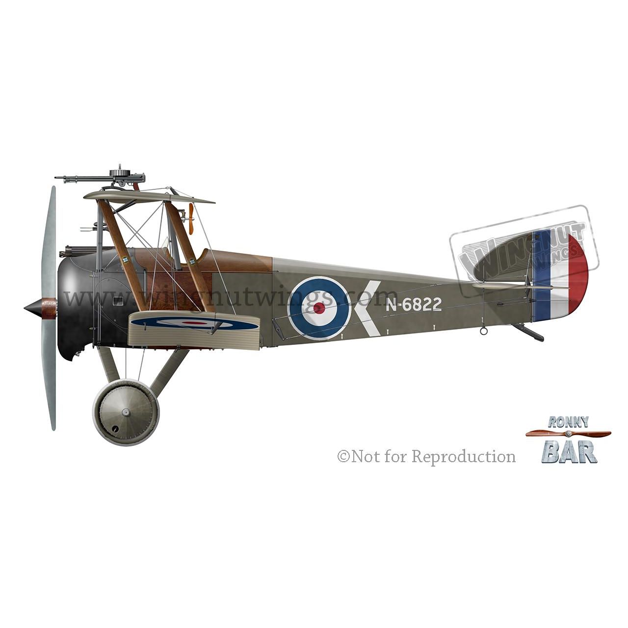 WINGNUT WINGS Sopwith 2F.1 Ship's Camel (WNW-32076)