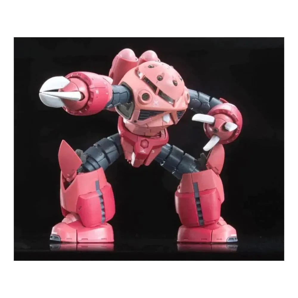 BANDAI 1/144 RG Z'Gok Char Custom