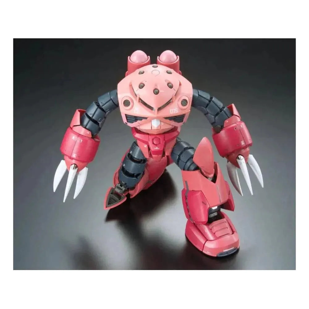 BANDAI 1/144 RG Z'Gok Char Custom