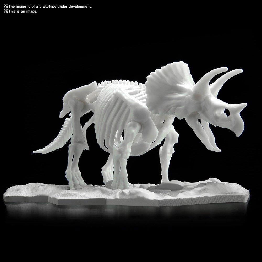 BANDAI Dinosaur Model Kit Limex Skeleton Triceratops