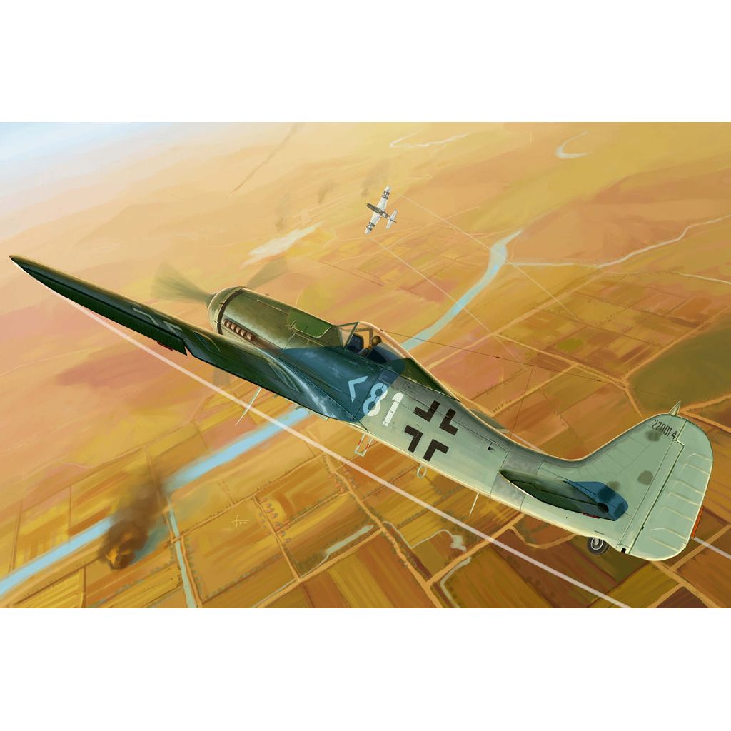 HOBBY BOSS 1/48 Focke-Wulf FW190D-11