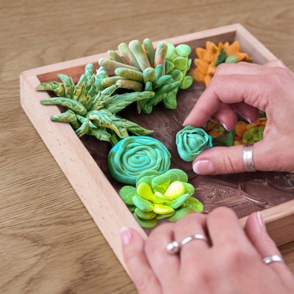 OKTO Wood & Craft DIY Succulents: Energy