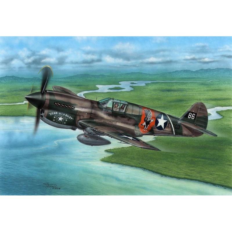 SPECIAL HOBBY 1/72 P-40E Warhawk 'Claws and Teeth' Plastic Model Kit