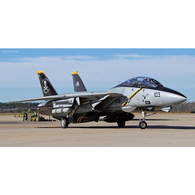 HASEGAWA 1/72 F-14B TOMCAT VF-103 JOLLY ROGERS LAST FLIGHT 2004