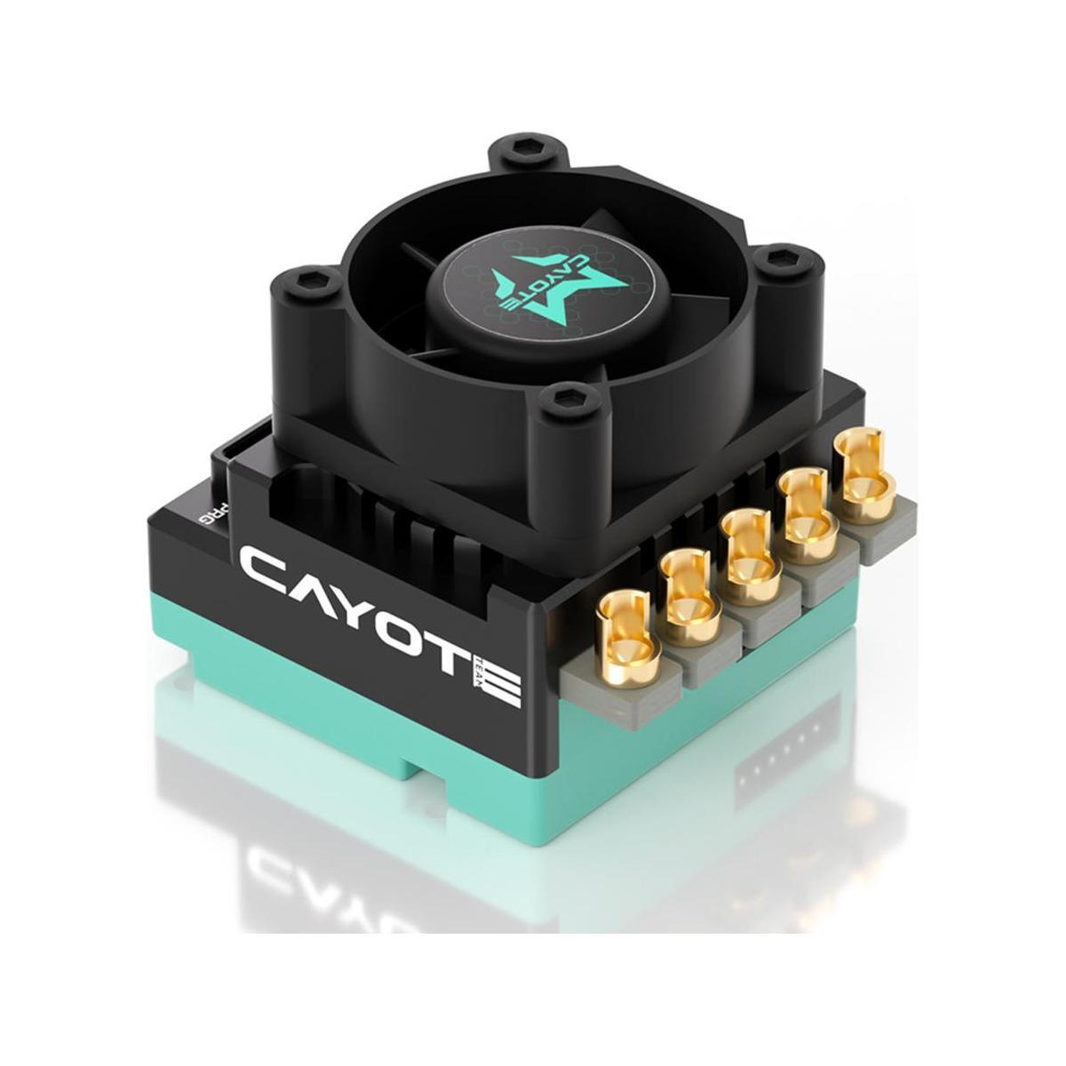 Cayote 1/10 CREST RS60 Sensored Brushless Competition ESC