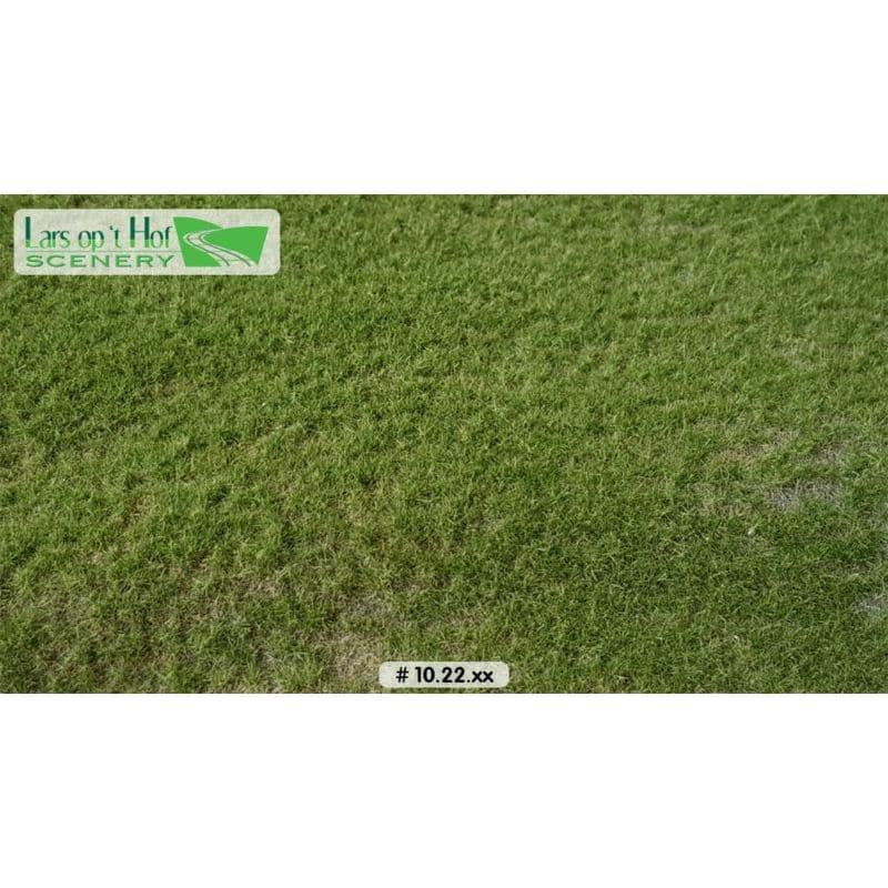 LARS OP 'T HOF Pasture Summer - Short (Large Pack)