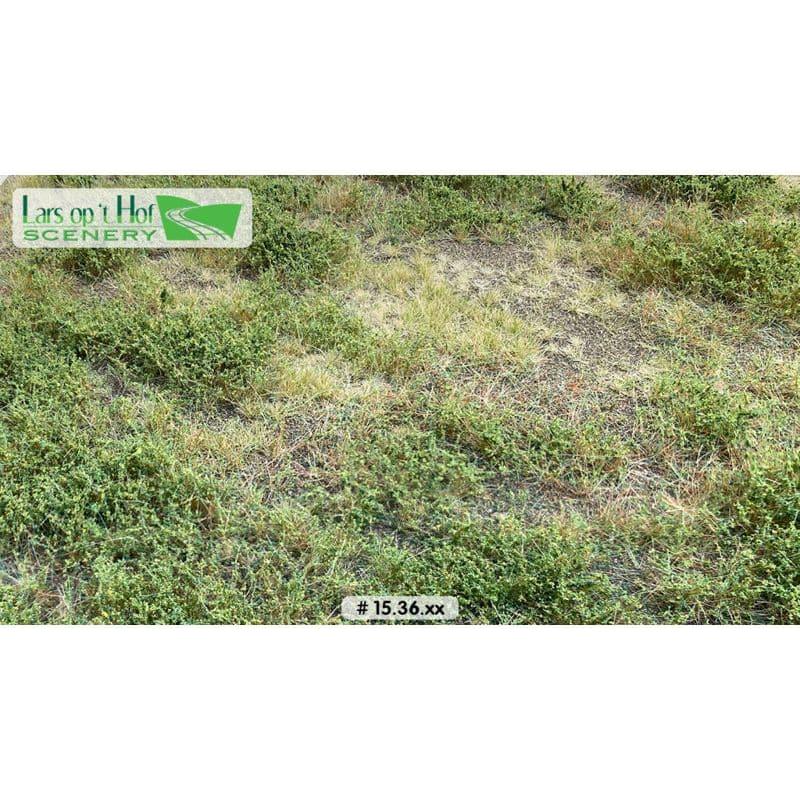 LARS OP 'T HOF Forest Floor - Type 3 (Large Pack)
