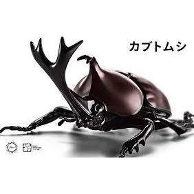 FUJIMI Biology Edition Beetle [FI No.21] Plastic Model Kit