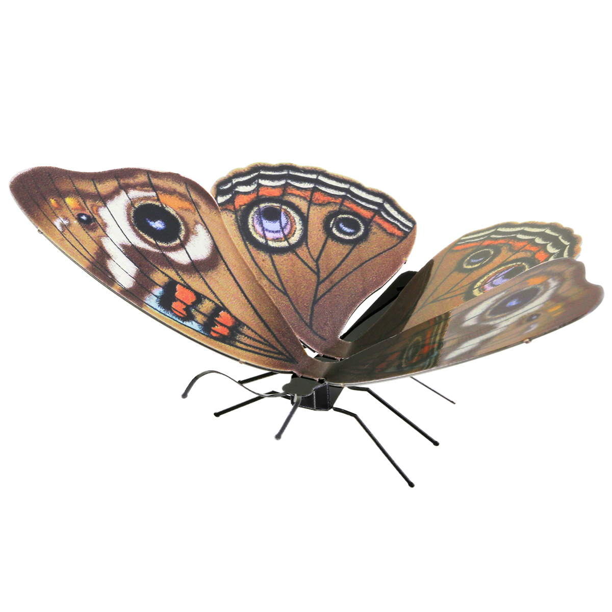 METAL EARTH Butterfly Buckeye