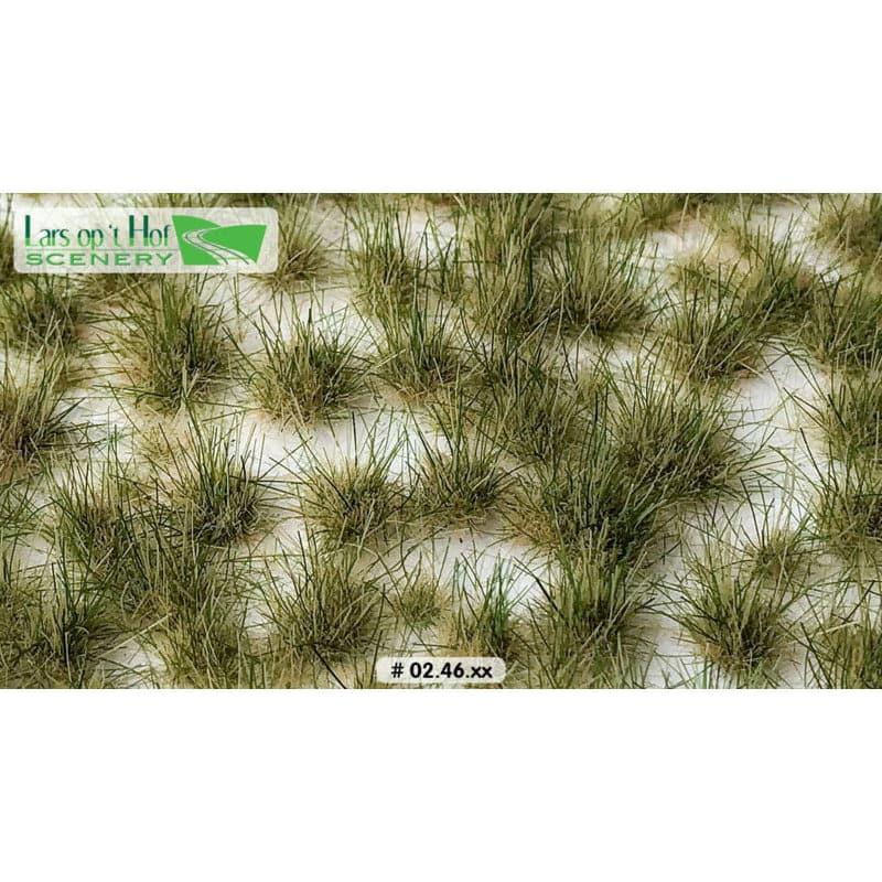 LARS OP 'T HOF Grass Tufts Summer - Two Tone