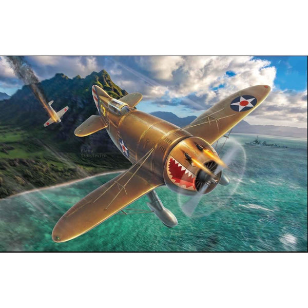 DORA WINGS 1/48 Granville P-45B "Bee Killer"
