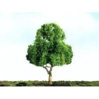 JTT Deciduous Trees 51mm (4)