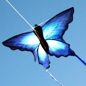 WINDSPEED Ulysses Butterfly Single String Kite