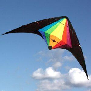 WINDSPEED Black Widow Dual Control Stunt Kite