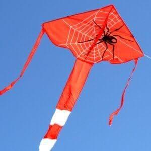 WINDSPEED Spider Delta Single String Kite