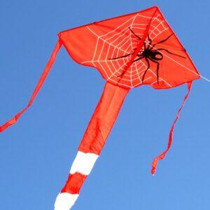 WINDSPEED Spider Delta Single String Kite