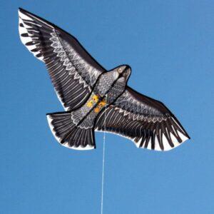 WINDSPEED Eagle Single String Kite