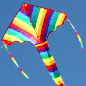 WINDSPEED Rainbow Delta Single String Kite