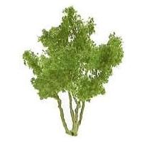 JTT Snow Gum Trees 78mm (2)
