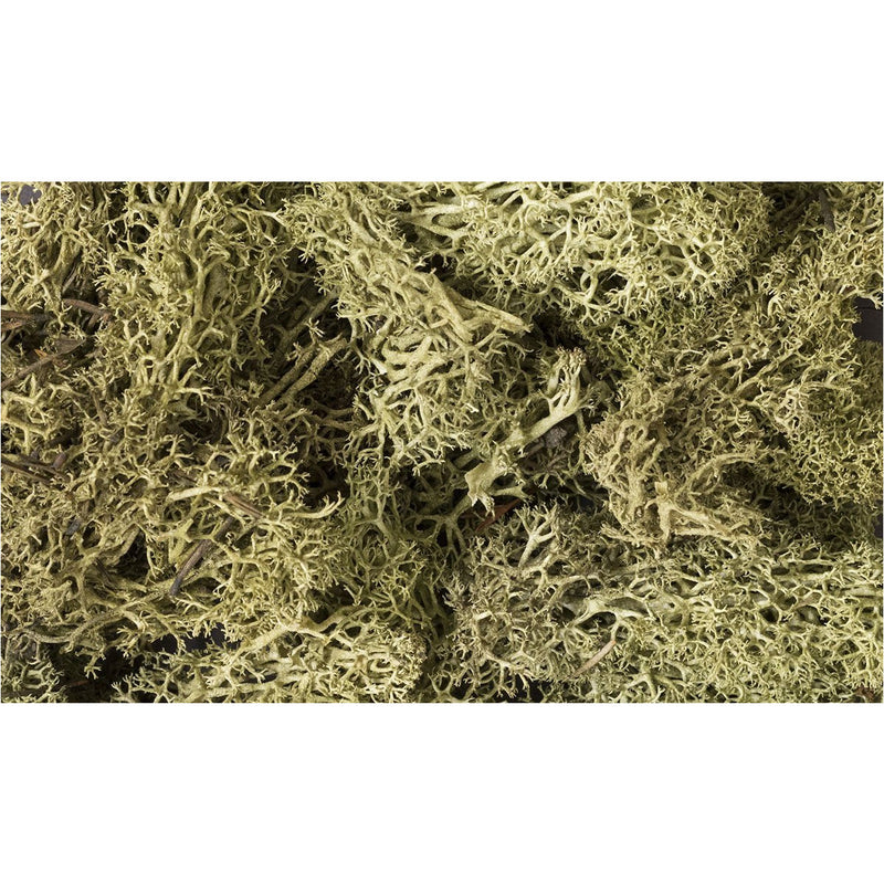 WOODLAND SCENICS Spring Green Lichen