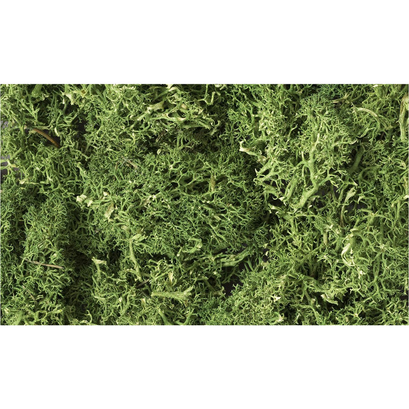 WOODLAND SCENICS Medium Green Lichen