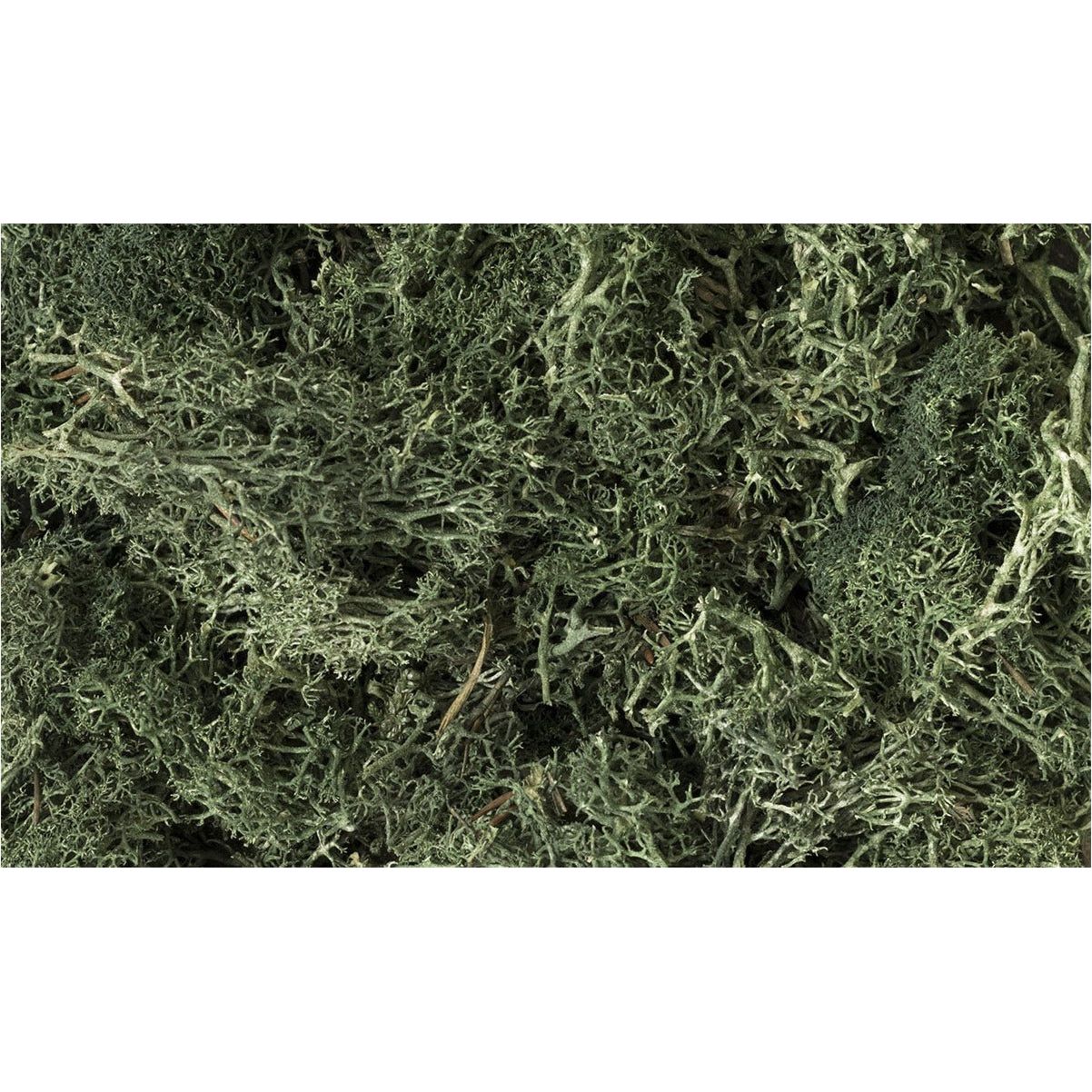 WOODLAND SCENICS Dark Green Lichen