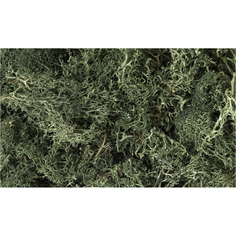 WOODLAND SCENICS Dark Green Lichen